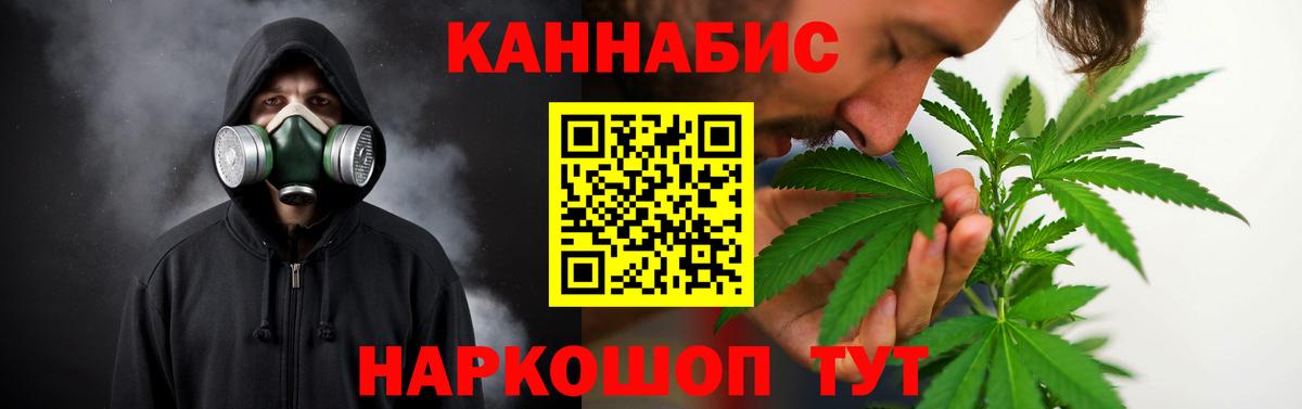 Каннабис планчик  Канабис OG Kush  Северск  Марихуана OG Kush  Вход с VPN 